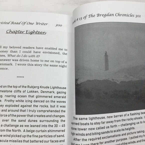 #13 The Twisted Road of One Writer The Birth of the Bregdan Chronicles Ginny Dye - Picture 8 of 10